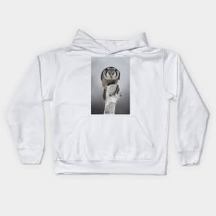 Northern Hawk-Owl Stare Kids Hoodie